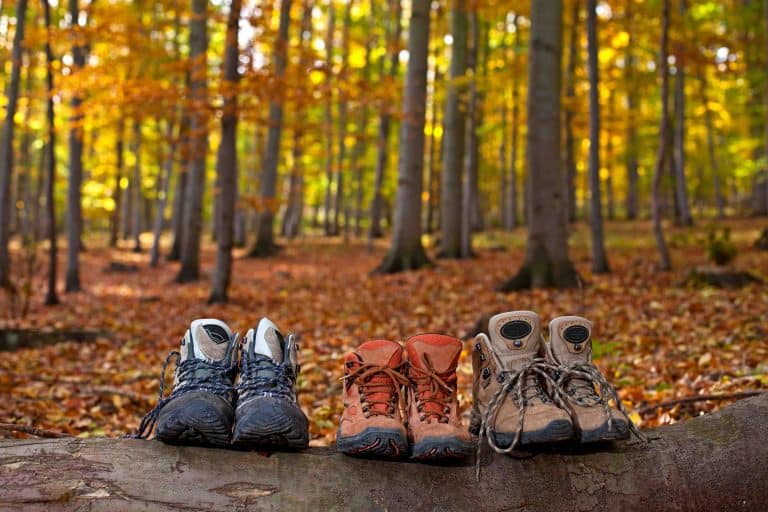 Autumn Motorhome Holiday Inspiration - family motorhome hire